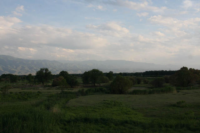 IMG 8863