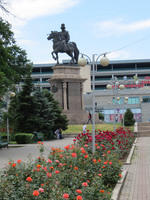 IMG 0594
