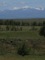 IMG 0693