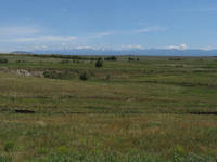IMG 0694