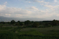 IMG 8863