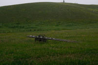  MG 9563